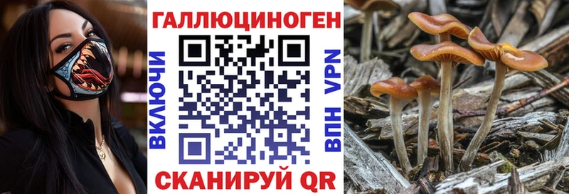 дарнет шоп Спас-Клепики Псилоцибиновые грибы Cubensis