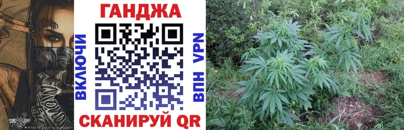Канабис SATIVA & INDICA  Спас-Клепики 